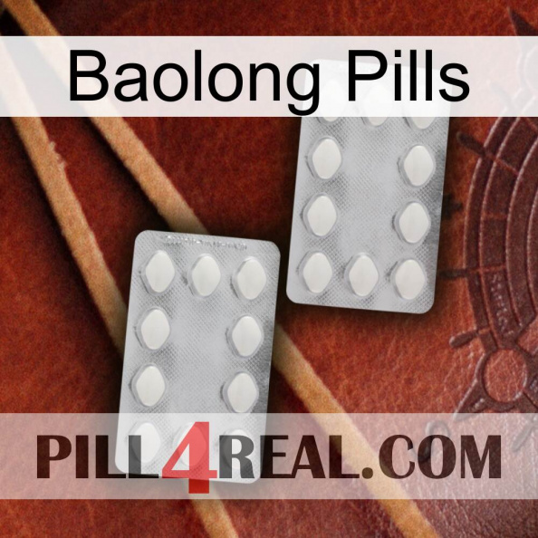 Baolong Pills 17.jpg